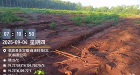 海南省直辖县临高县海胶红华分公司加来片区兰联多招队1标194.34亩胶园林下农业土地出租