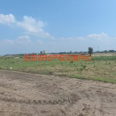 海南省直辖县乐东黎族自治县利国镇乐二村南美园地块10.61亩集体地流转