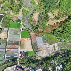 五指山市南圣镇红合村委会51.64亩蔬菜基地出租