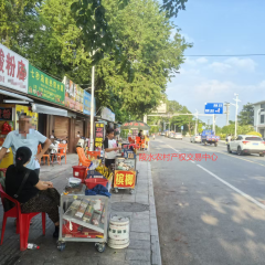省直辖县陵水黎族自治县椰林镇桃万村集体8号24㎡临街商铺出租