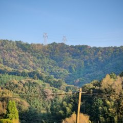 德兴市新营街道新营一村居民委员会新营一村朱家坞114亩荒山